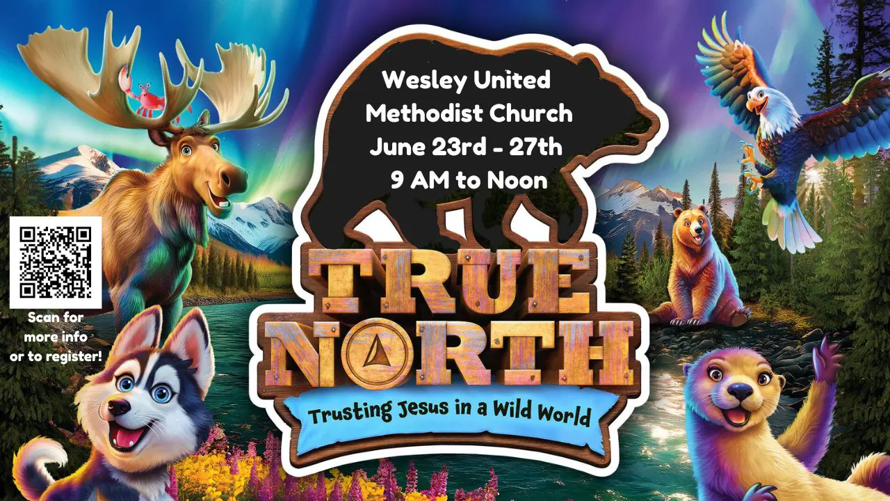 VBS True North (1) VBS True North (1)
